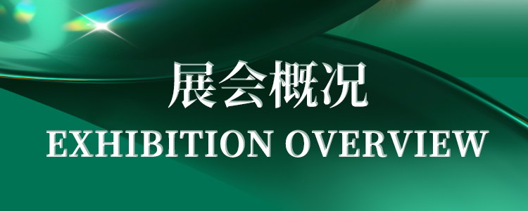 1735112660760429.jpg 750-300-1.jpg